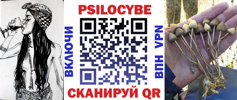 Купить Малгобек Галлюциногенные грибы мухоморы